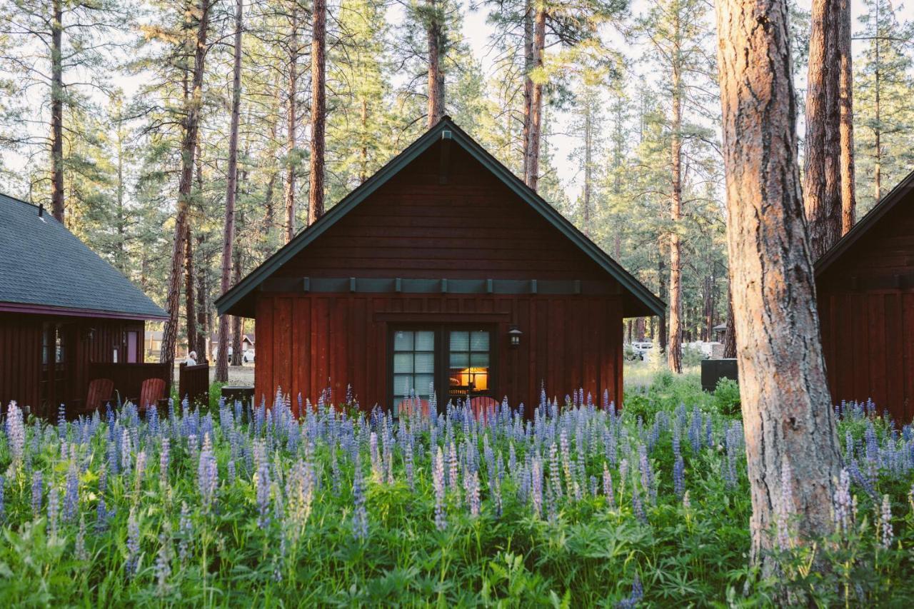 Fivepine Lodge Sisters Kültér fotó
