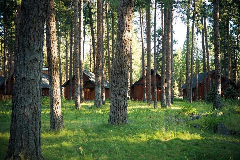 Fivepine Lodge Sisters Kültér fotó
